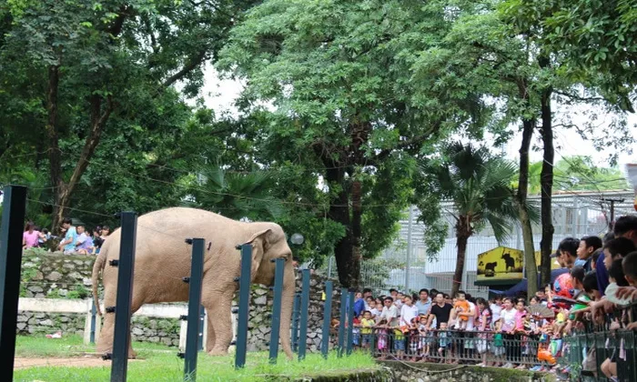 Ngày 20-10 nên đi chơi ở đâu ở Sài Gòn? ở Hà Nội là thú vị nhất