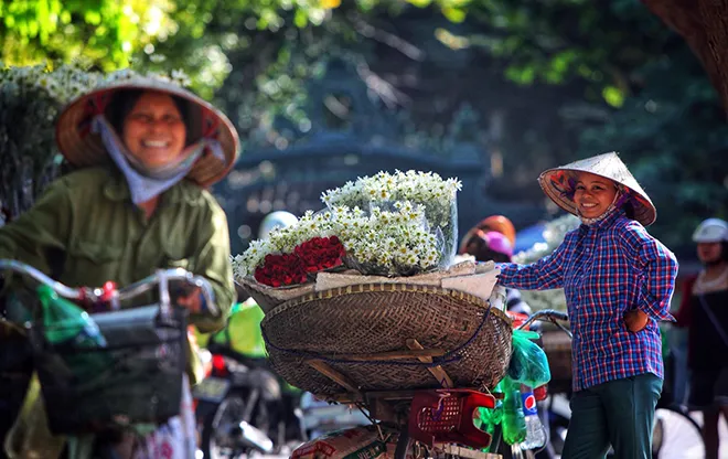 Những địa điểm chụp ảnh cúc hoạ mi đẹp tinh khôi không thể bỏ lỡ ở Hà Nội