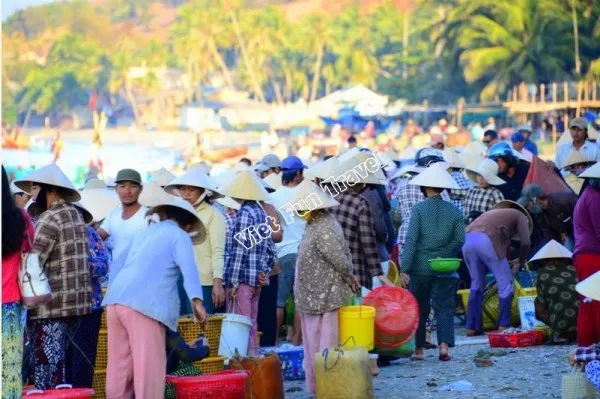 Những điều thú vị khi đi du lịch Mũi Né – Phan Thiết