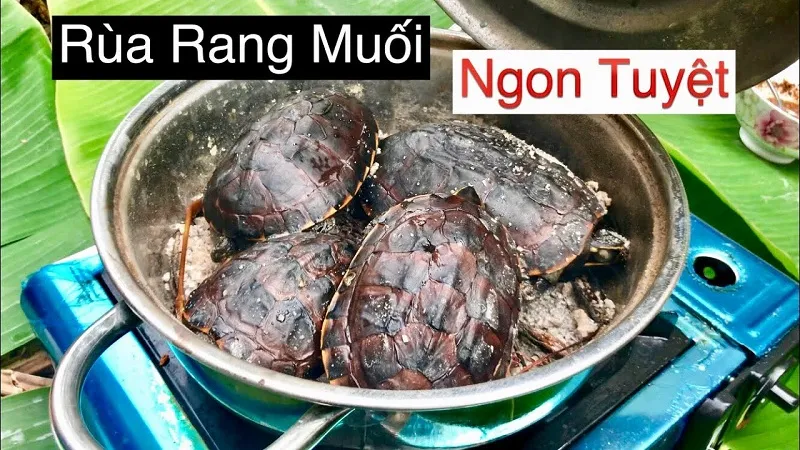 Rùa rang muối Cà Mau – Món ngon du khách nhất định phải thử