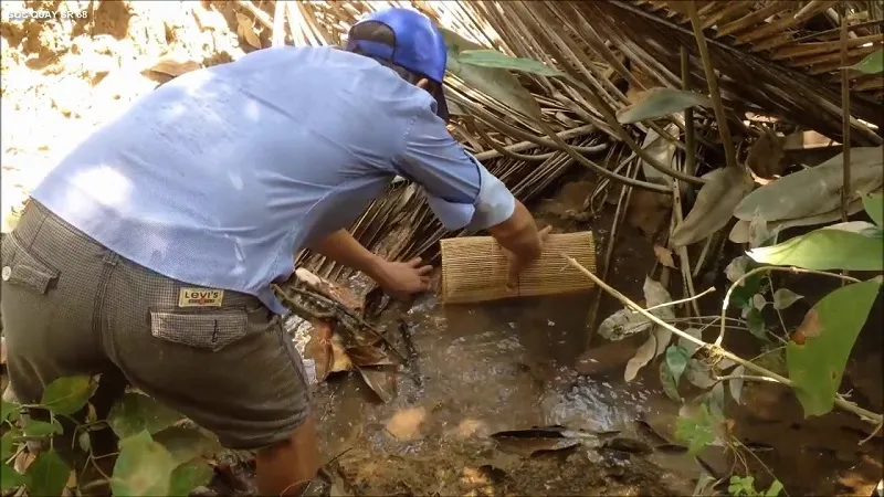 Rùa rang muối Cà Mau – Món ngon du khách nhất định phải thử