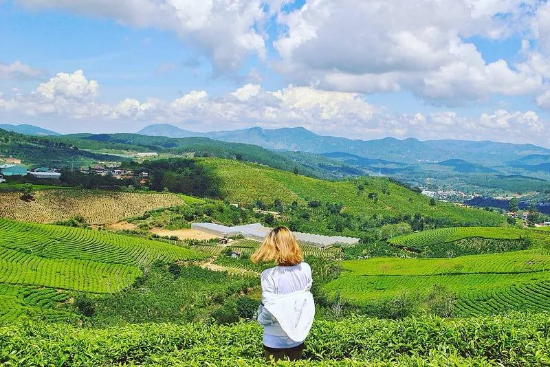 “Sống ảo” điên đảo cùng quán cafe ở đồi chè Cầu Đất