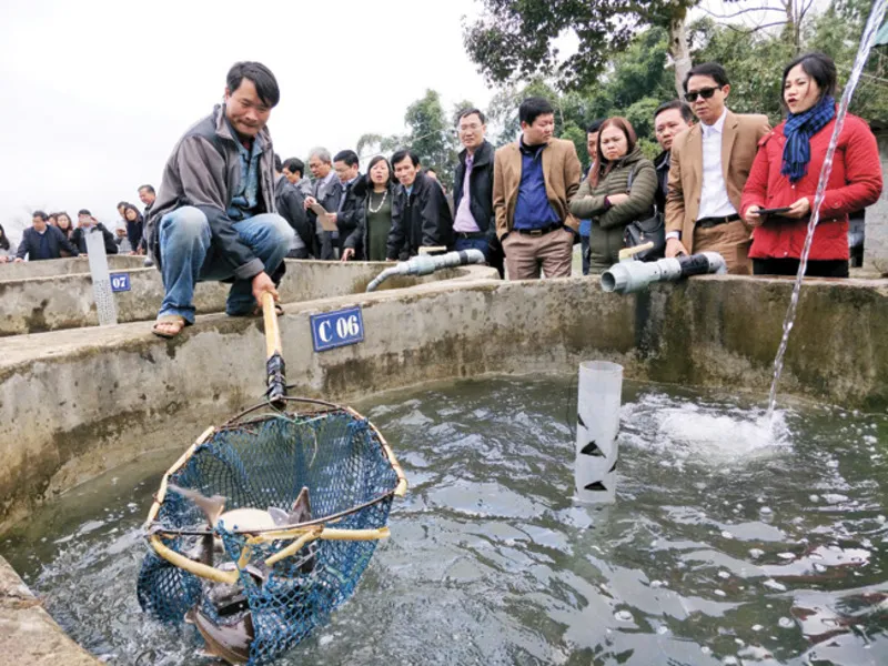 Thác Bạc Sapa có gì?