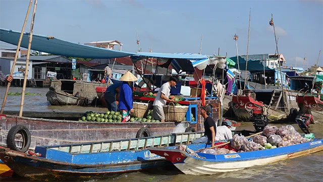 Tháng 2 nên du lịch ở đâu đẹp?