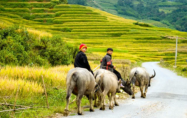 ​Tháng 3 nên đi du lịch ở đâu đẹp?