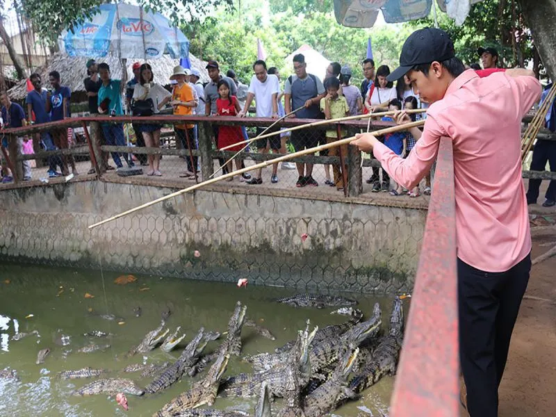 Thông tin Cồn Phụng có gì chơi? du khách đã biết?