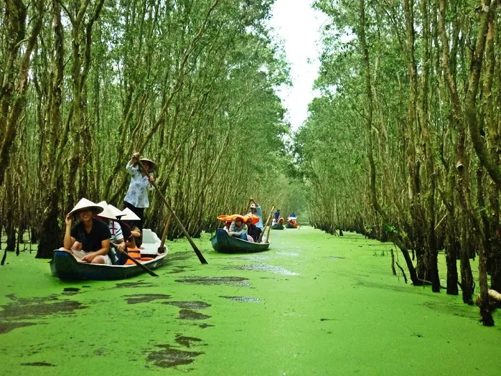 Thông tin đi du lịch Cà Mau có gì hay? Du khách đã biết chưa?