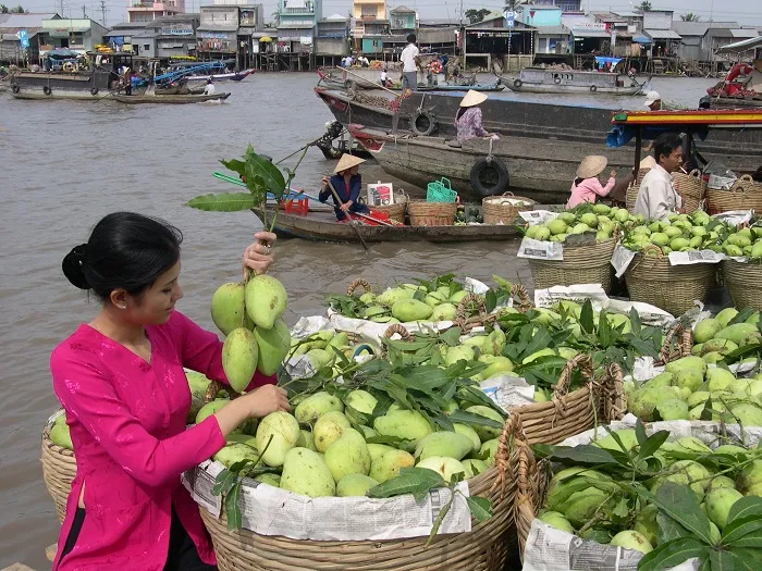 Thông tin địa chỉ Chợ nổi Cà Mau nằm ở đâu? Du khách có biết chưa?