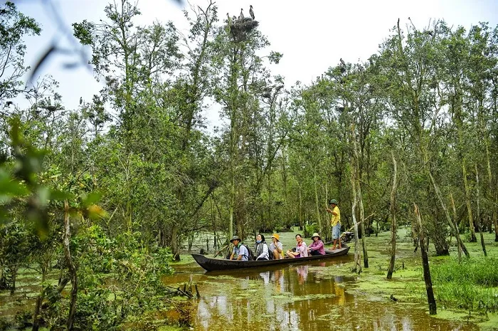 Thông tin vườn quốc gia Tràm Chim Đồng Tháp có gì hay?