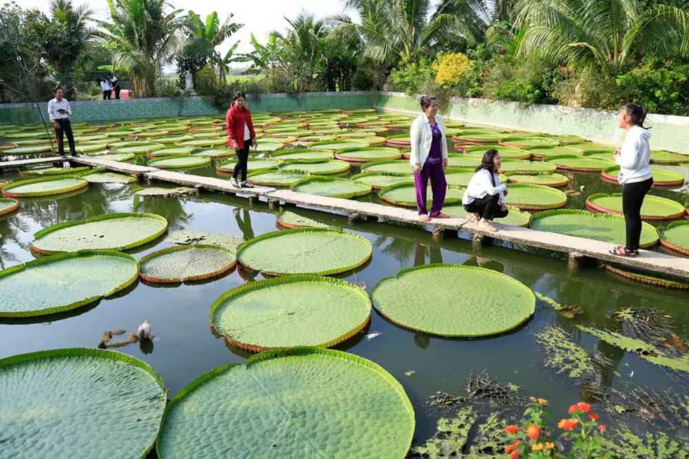 TOP 42 địa điểm du lịch đẹp ở Miền Tây Nam Bộ nhìn là muốn checkin ngay