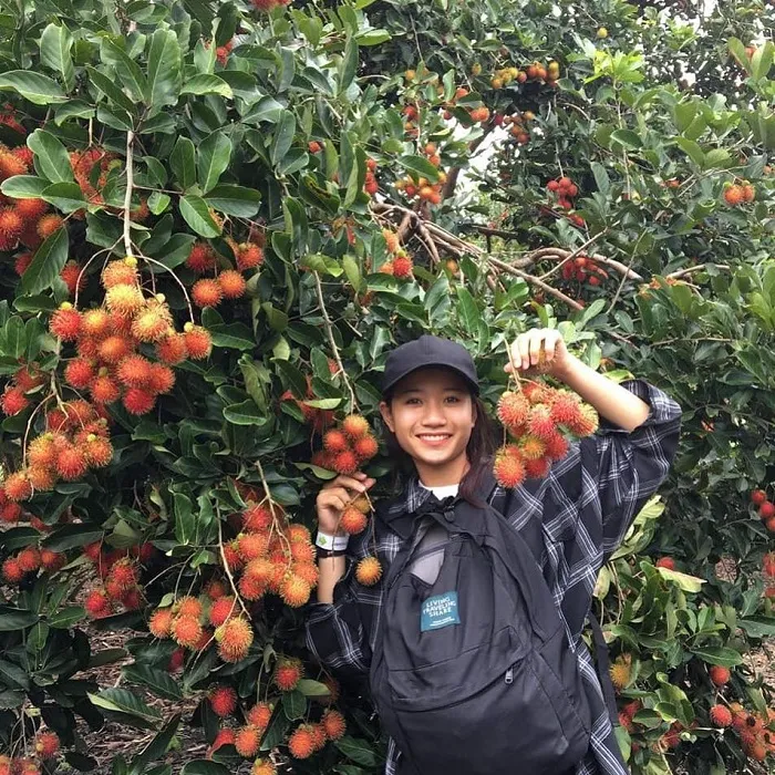 Về Cao Lãnh khám phá vườn trái cây Mỹ Nữ mùa "oằn cành" - "Thiên đường trái cây là đây"