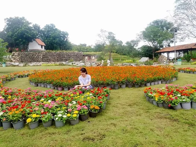 Xuất hiện KHU VƯỜN BÍ MẬT “mới toanh” ở Đồng Nai